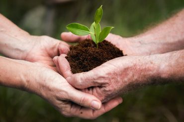 Sustainable